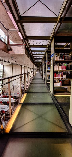 foto:Itahi Garcia  - lo hecho en México