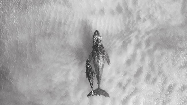 foto:Raymundo García Herrera  - lo hecho en México