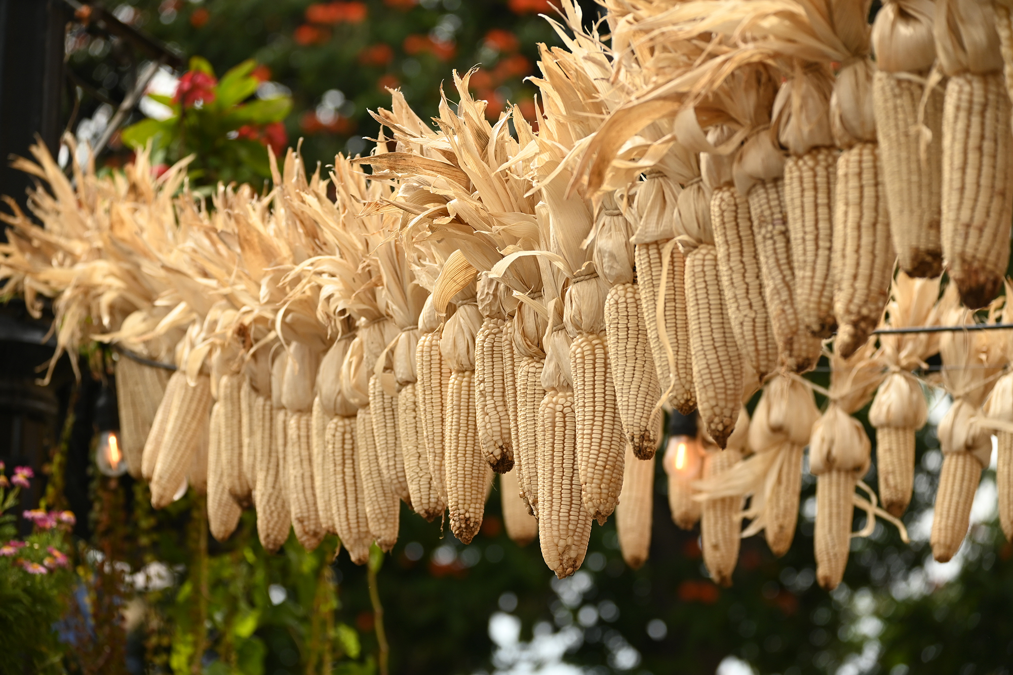 foto:Maria del Carmen Muños Solis  - lo hecho en México