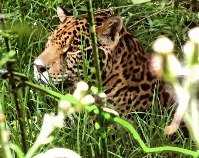 foto:Tiana Fernanda Martínez Lazcano   - lo hecho en México
