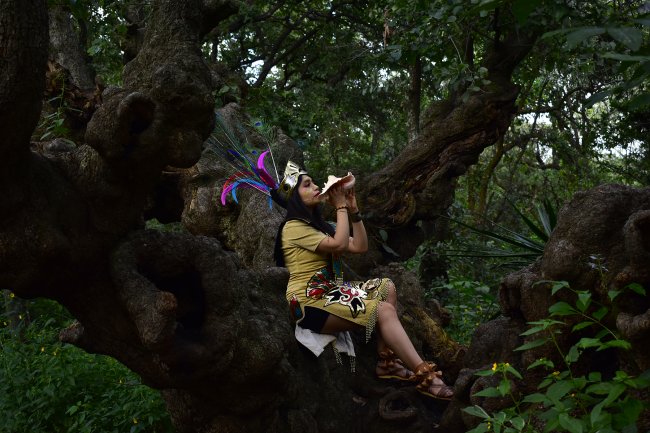 foto:Getsemani Adriana Islas Rivera   - lo hecho en México