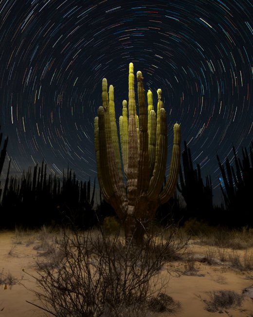 foto:IvonneFrid Klein  - lo hecho en México