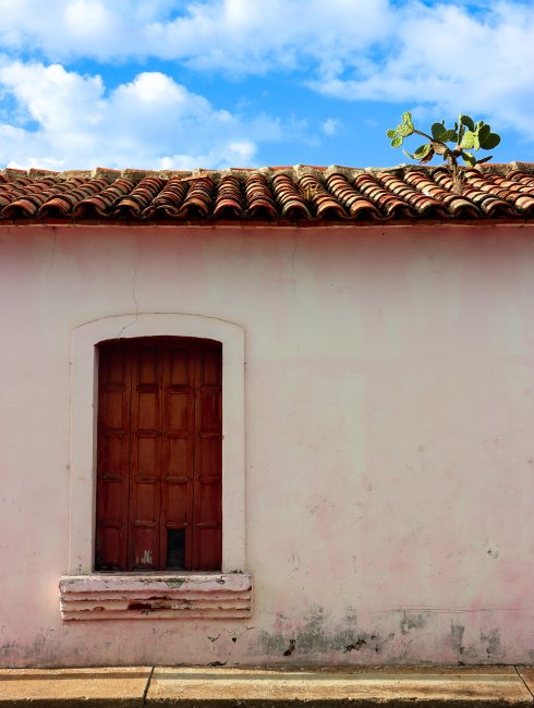 foto:Daniel Estefano  - lo hecho en México