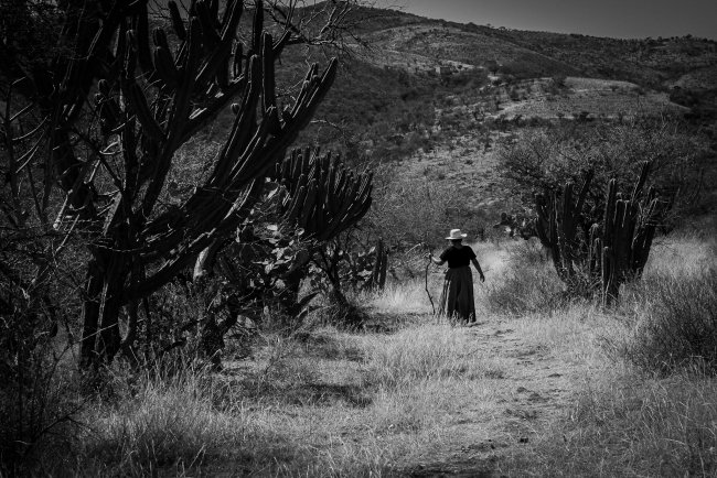 foto:Fernando Moralea Hidalgo   - lo hecho en México