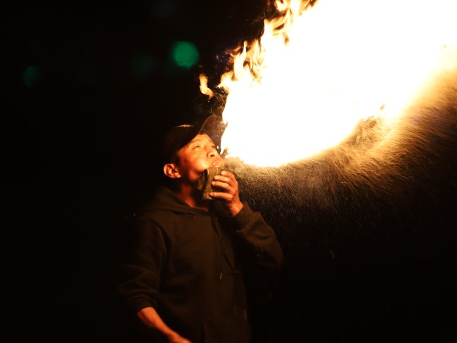 foto:Jesus Guerrero Ramirez   - lo hecho en México