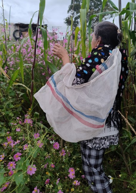 foto:Miriam Shalem Sánchez Sánchez   - lo hecho en México