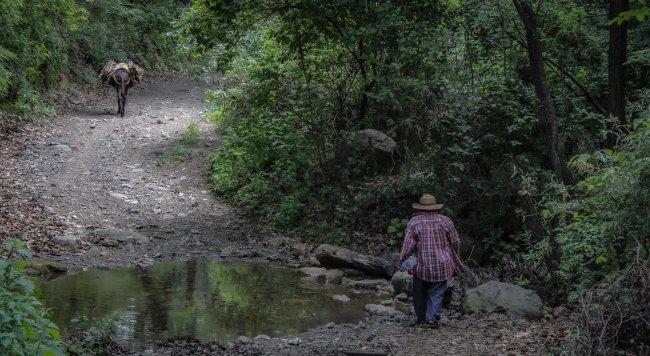foto:Octavio Rodriguez Montiel  - lo hecho en México