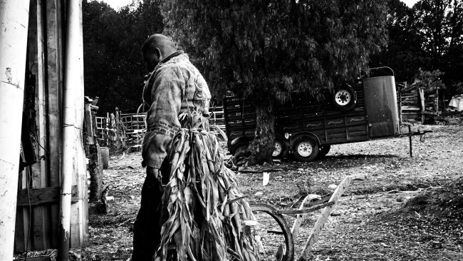 foto:Demetrio Carlos Ayala Báez   - lo hecho en México
