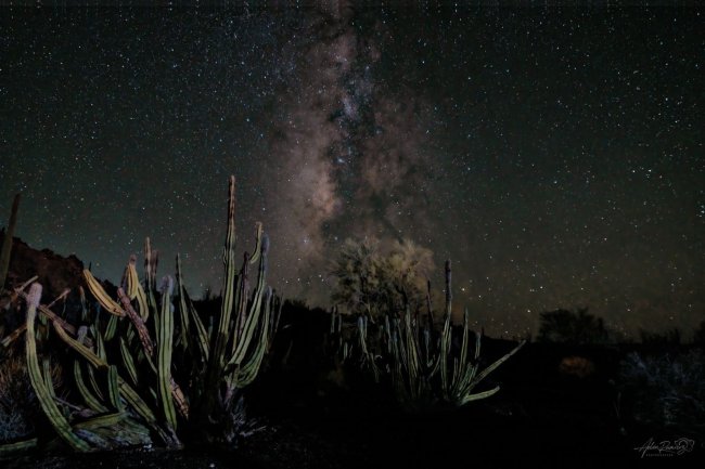 foto:Adán Ramírez Rosado   - lo hecho en México