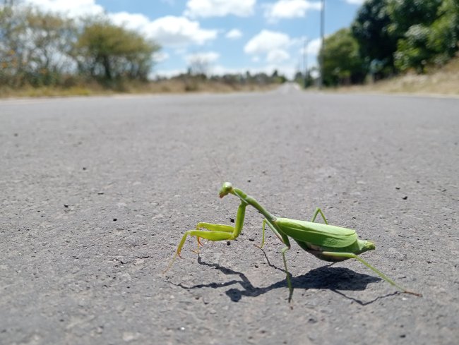 foto:Sandra Pérez aguilar  - lo hecho en México
