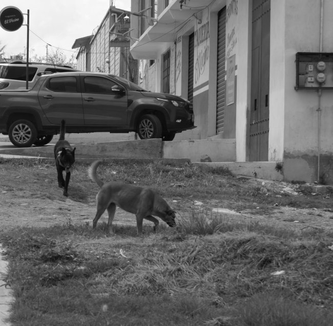 foto:Fernando Ramses Peñaloza Lozano   - lo hecho en México