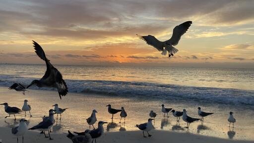 foto:Karla Arandia  - lo hecho en México