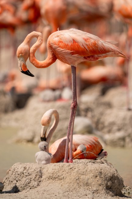 foto:Catalina Alejandra Vázquez Rodríguez  - lo hecho en México