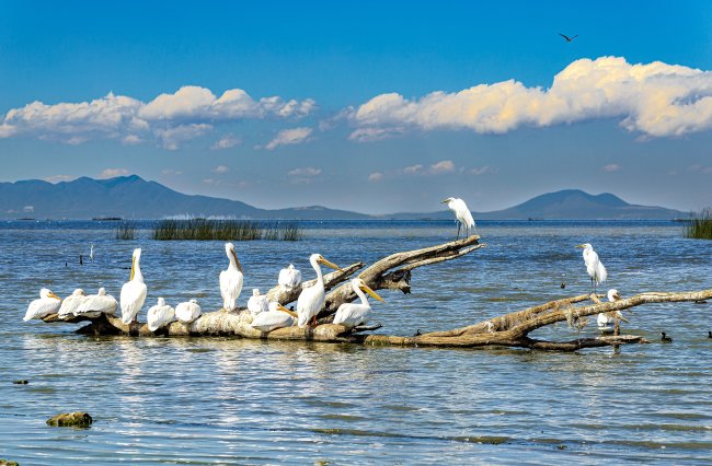 foto:ELIAS MIGUEL RAMIREZ ALOMSO  - lo hecho en México