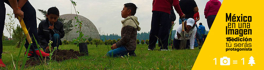 post_lohechoenmexico