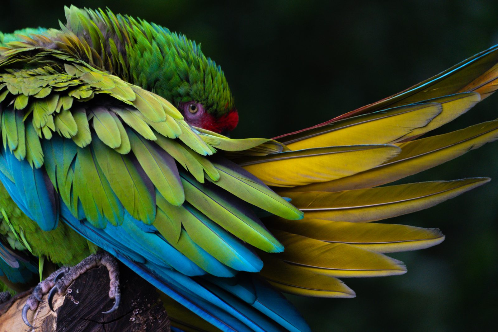 foto:Eduardo Melman Hernández   - lo hecho en México