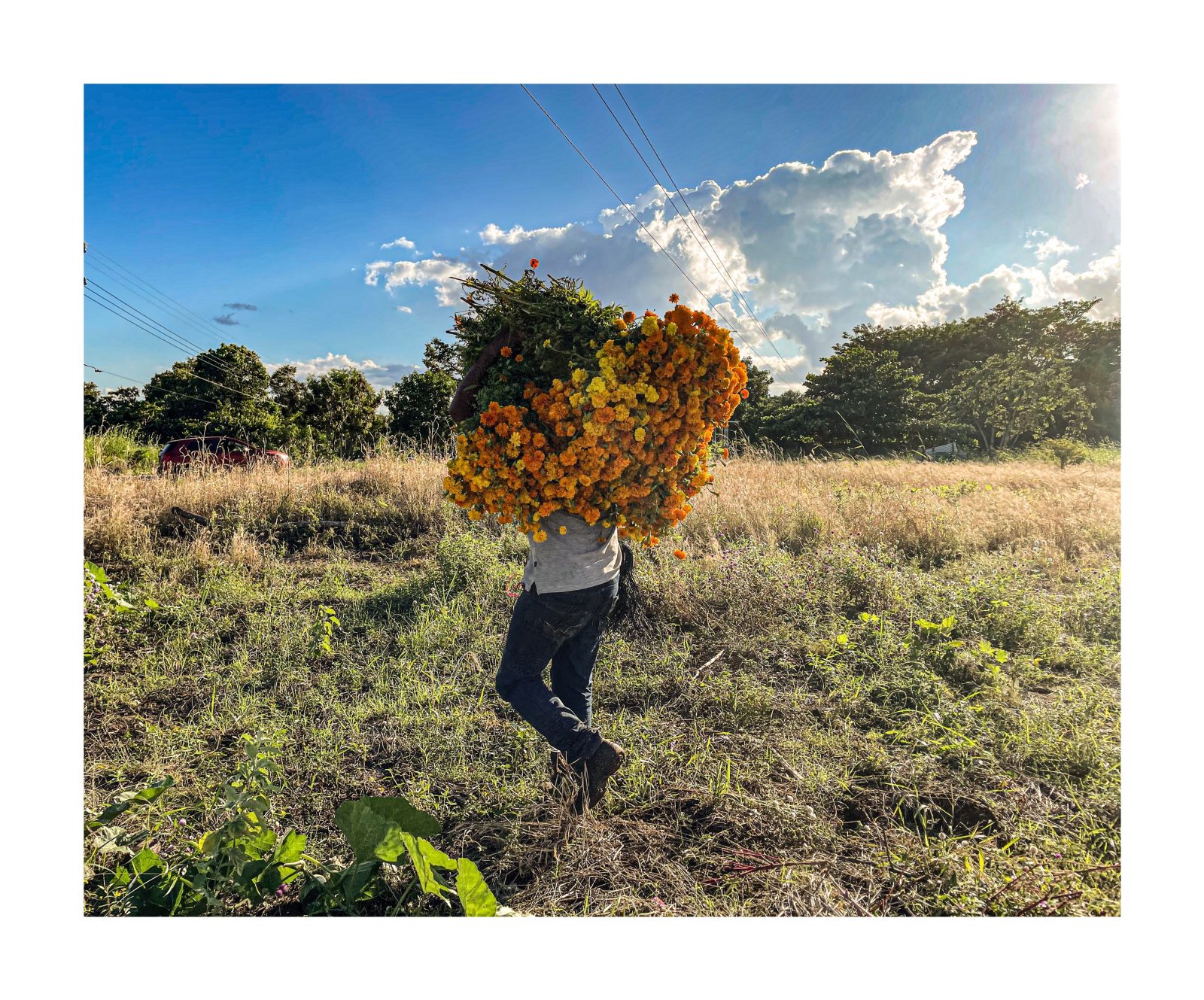 foto:Alfredo Salazar Chaga  - lo hecho en México