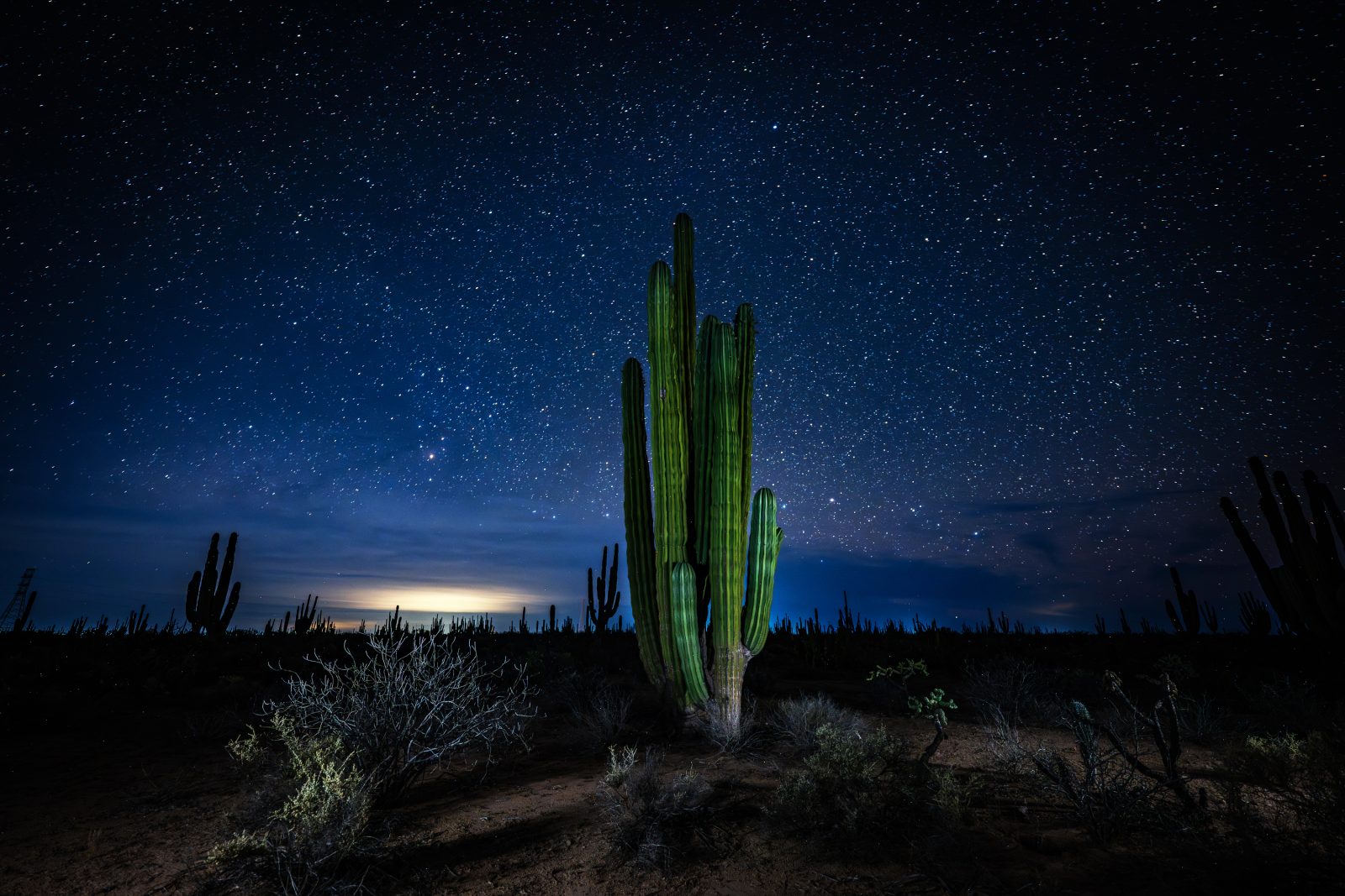 foto:Carlos Espinosa de la Torre  - lo hecho en México