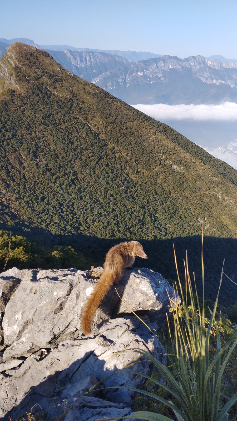 foto:Pedro Enrique Rivera Reyes   - lo hecho en México