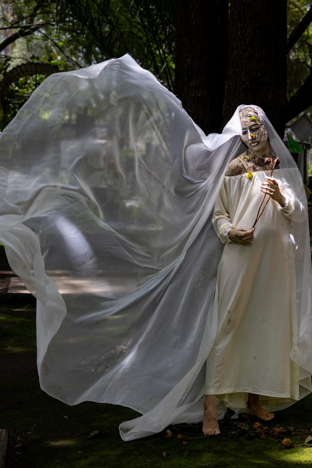 foto:Carlos Misael Cruz López   - lo hecho en México