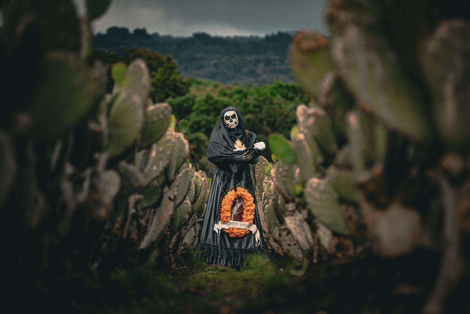 foto:Brandao levir Coronado Arellano   - lo hecho en México