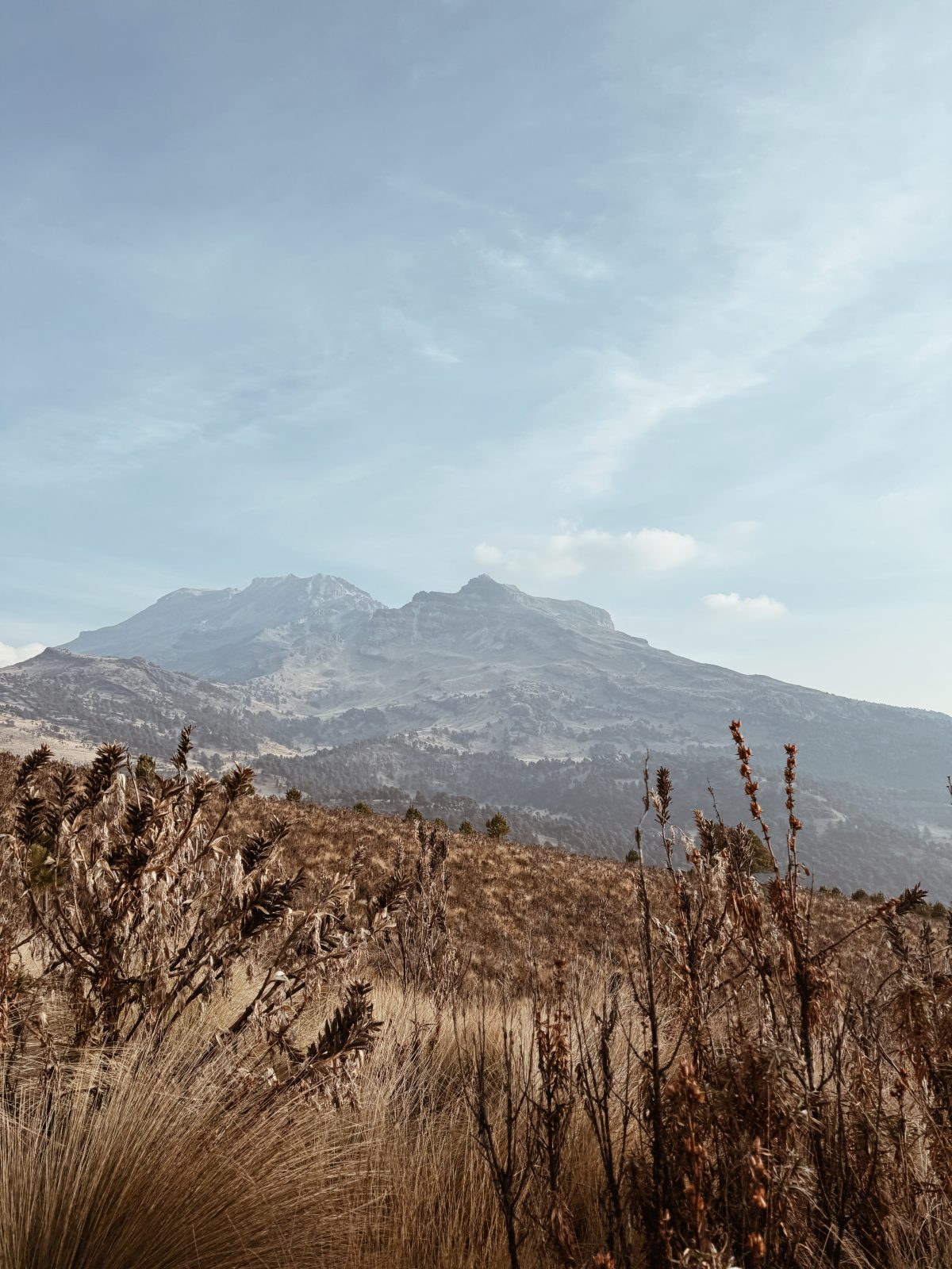foto:Leslie Payró García Wigueras  - lo hecho en México