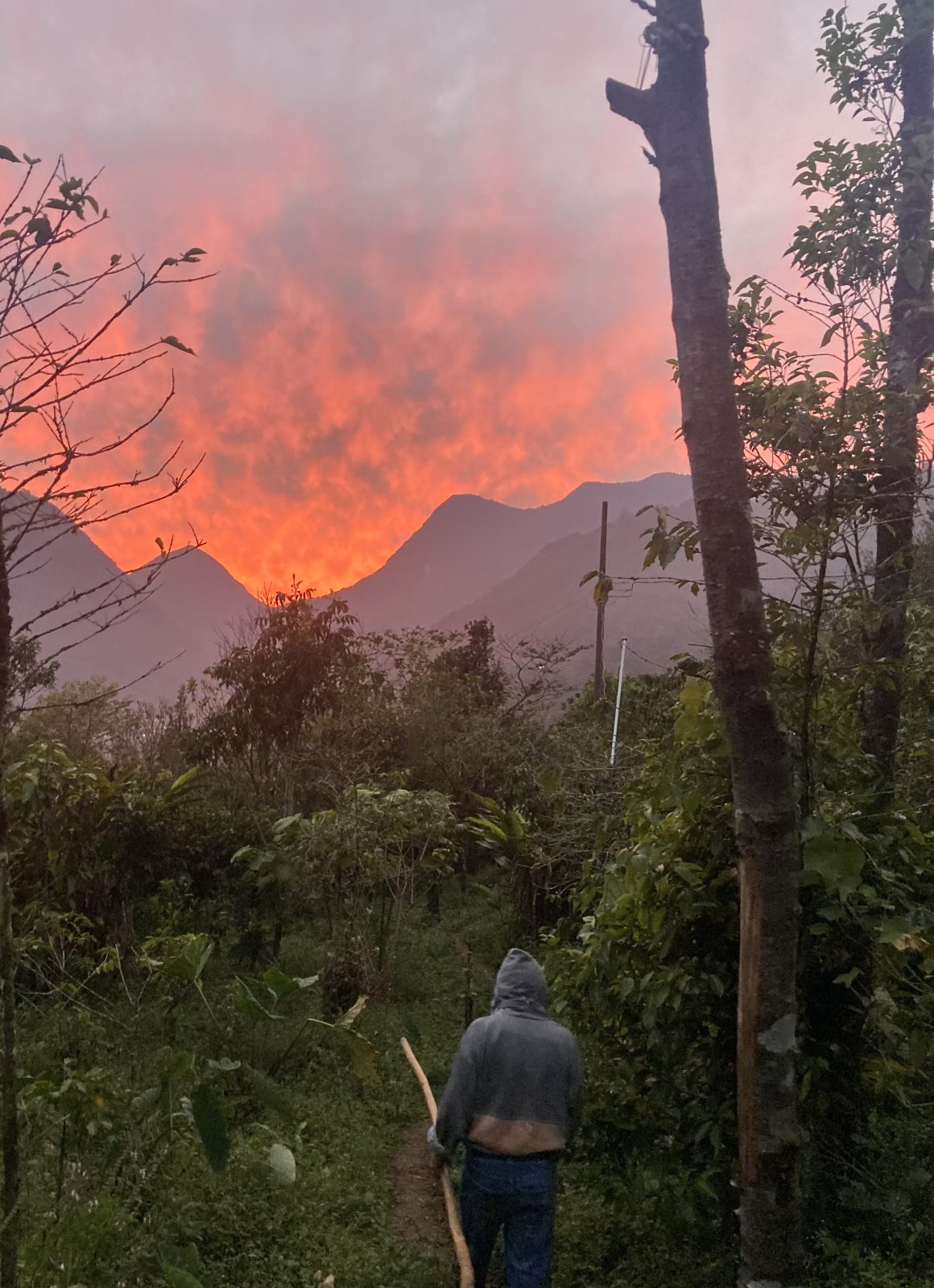 foto:Mariana Martínez Bautista   - lo hecho en México