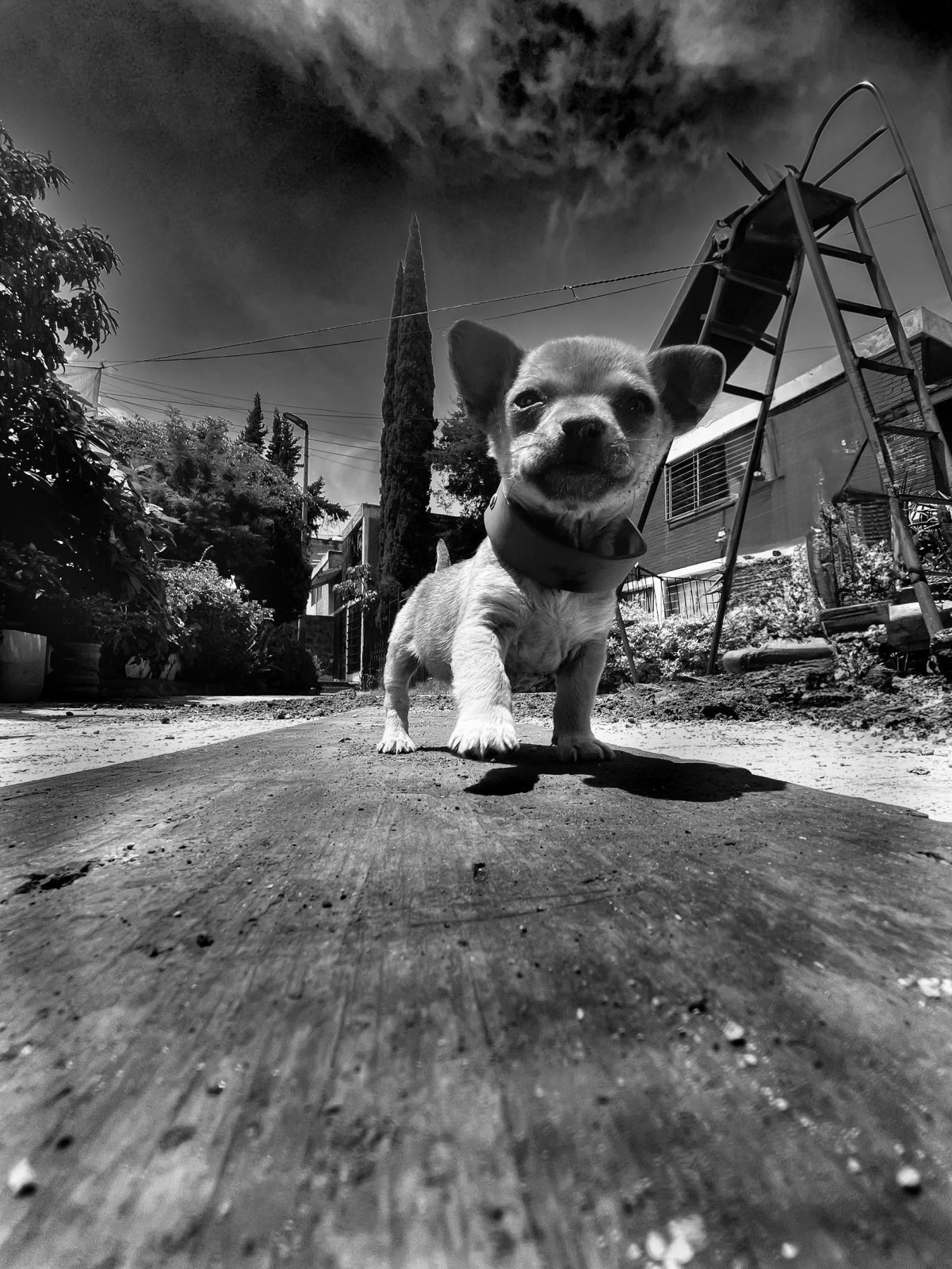 foto:Hugo Enrique Pacheco Santillán   - lo hecho en México