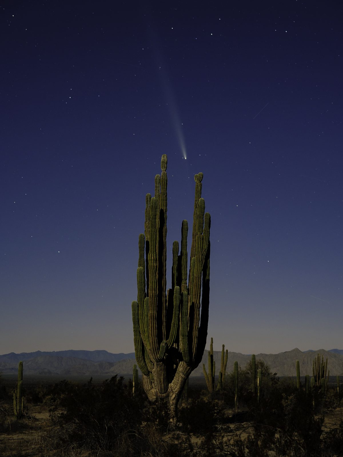 foto:Eliud Gil Samaniego  - lo hecho en México