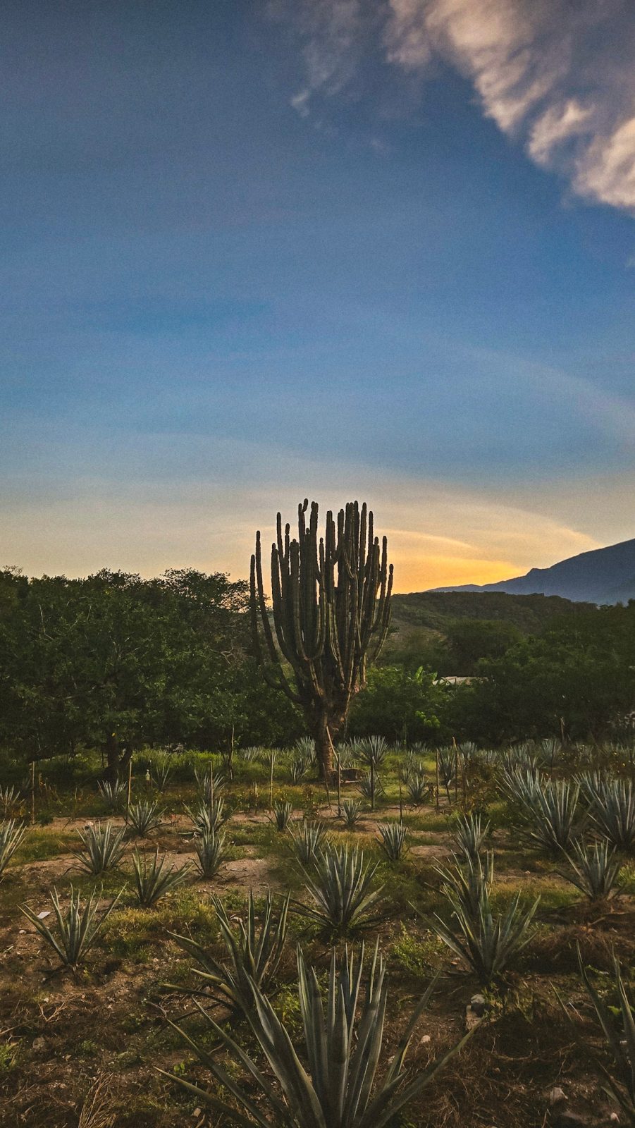 foto:Ildely Herrera  - lo hecho en México