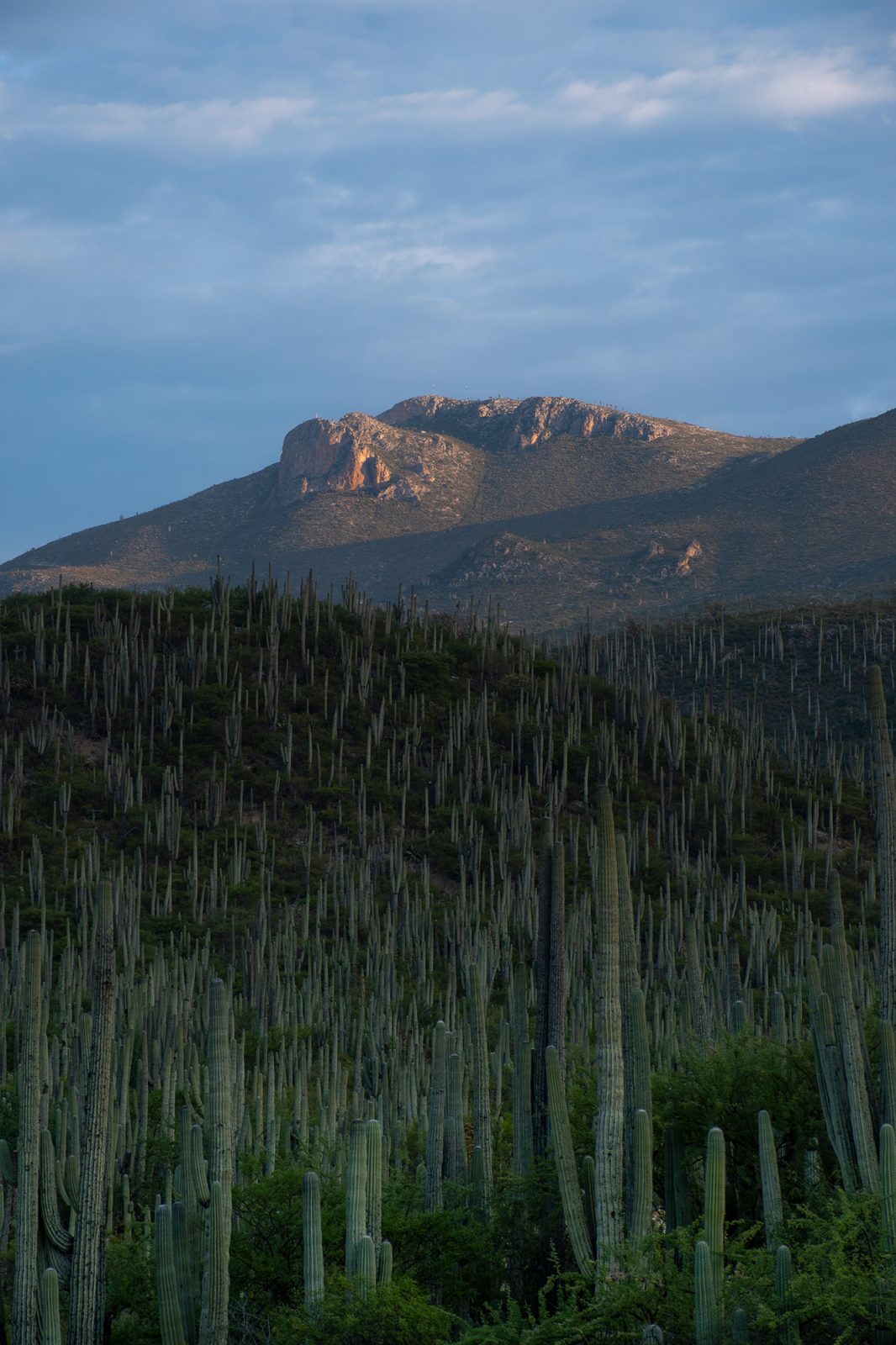 foto:Javier García Rivera - lo hecho en México