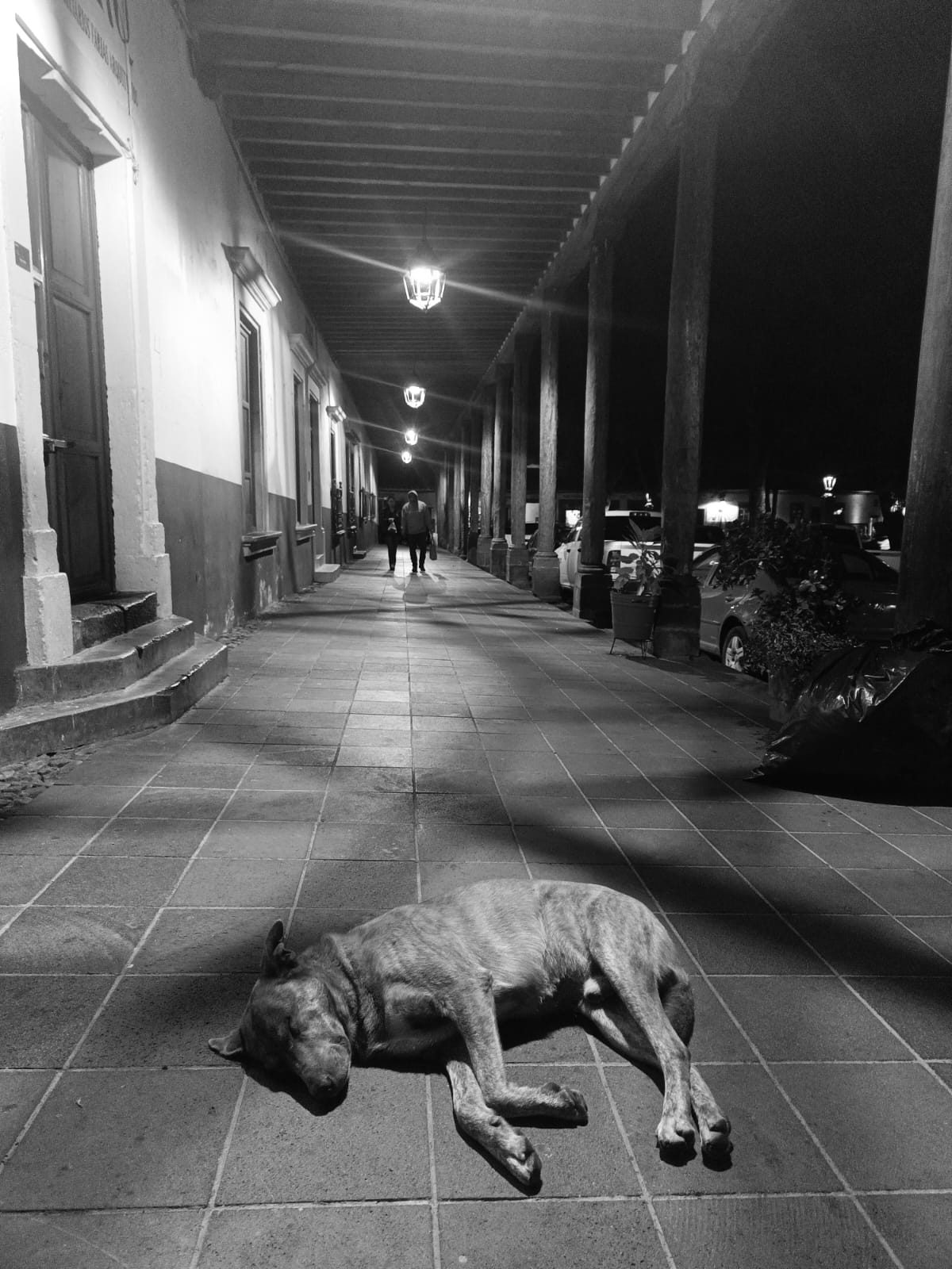 foto:Paulina Selene Méndez López   - lo hecho en México
