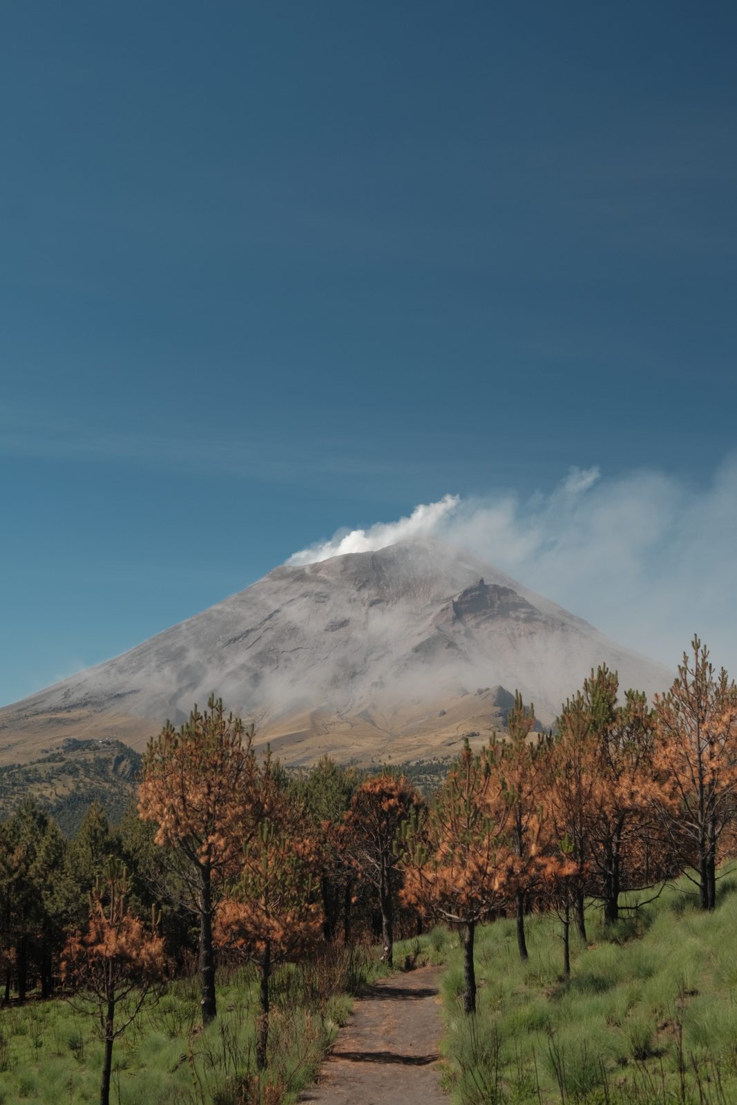 foto:Ethan Saul Carrizales Alvarez   - lo hecho en México