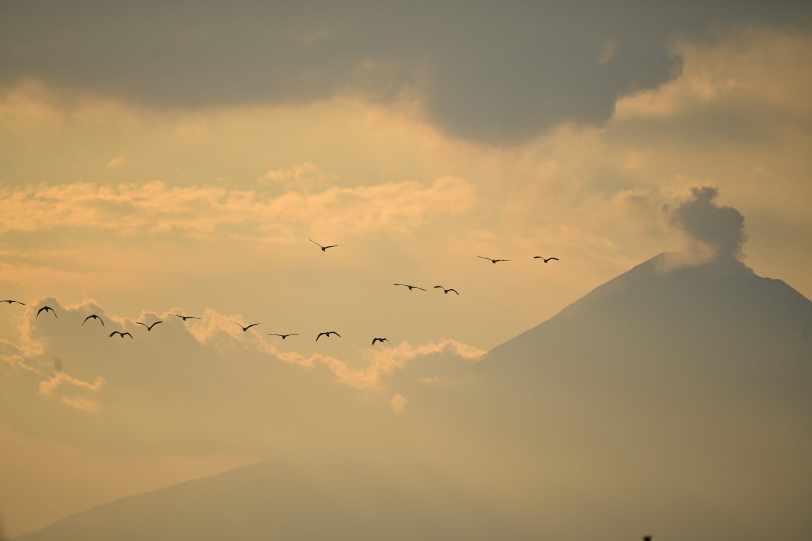 foto:Jhonatan Muñoz Bertado  - lo hecho en México