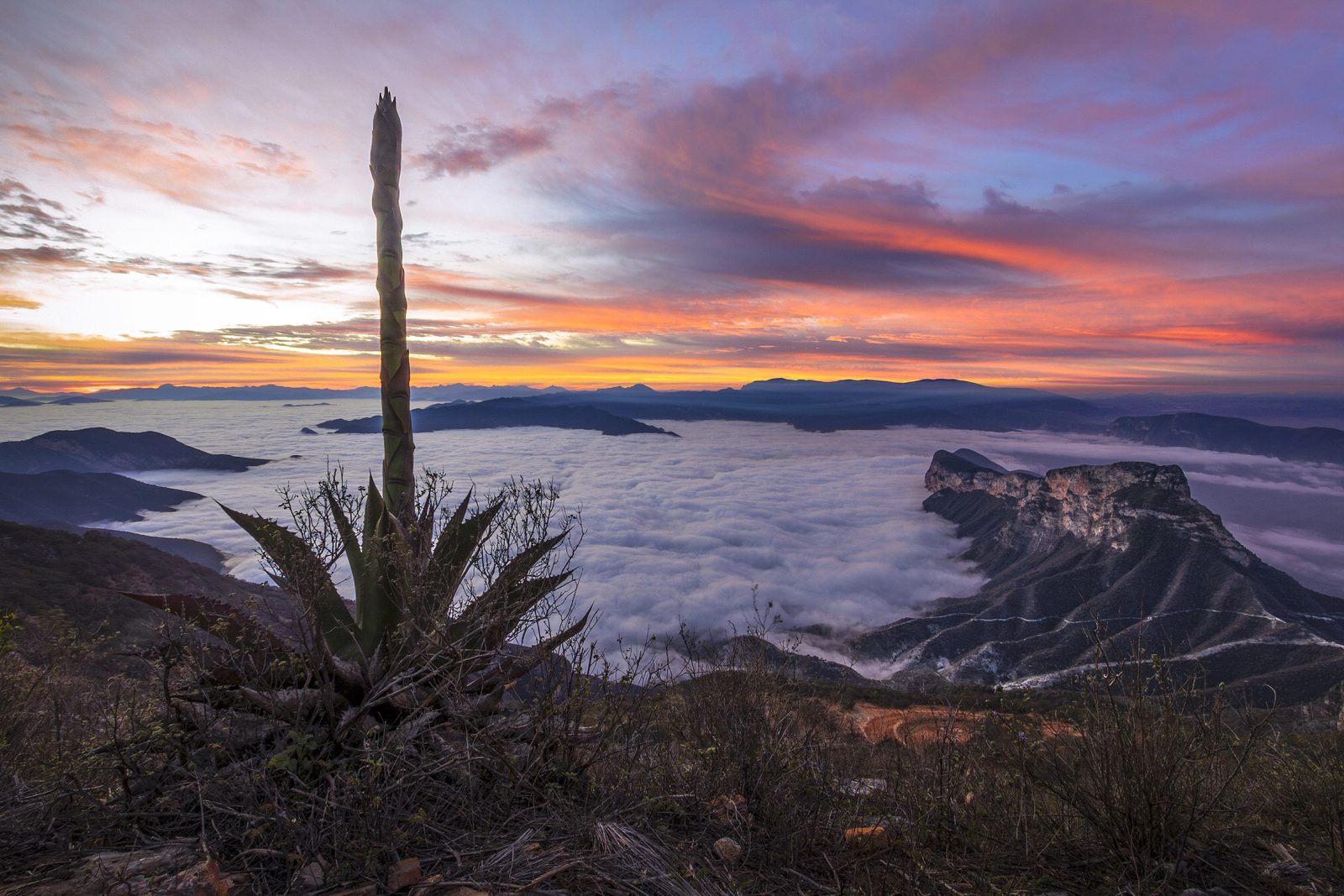foto:Fernando Rodriguez - lo hecho en México