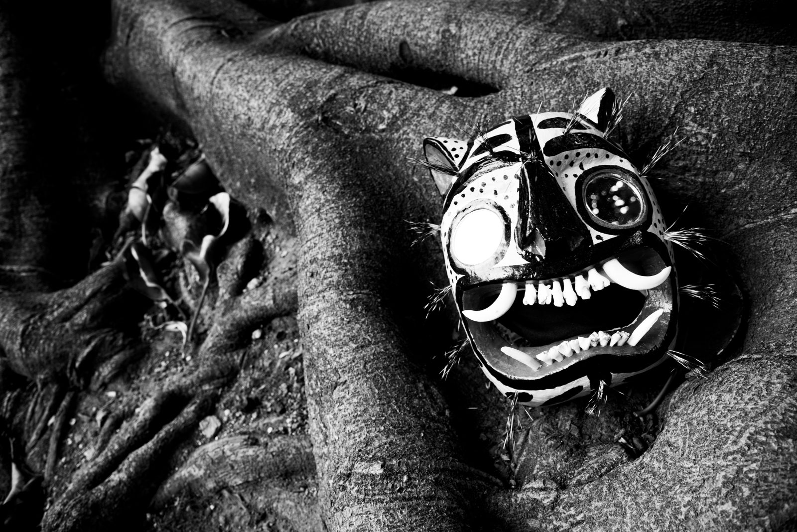 foto:Sergio Limón Léycegui  - lo hecho en México