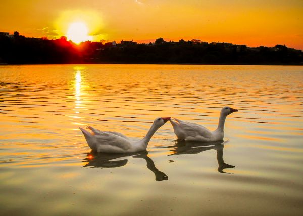 Luis Antonio Constantino | concurso de fotografía Luis Antonio Constantino