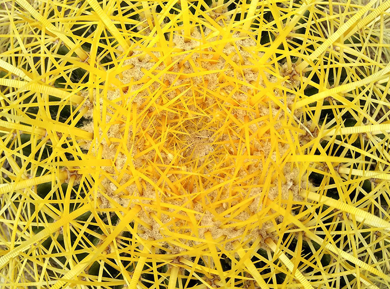 foto:Victoria Beltrán Kuhn  - lo hecho en México