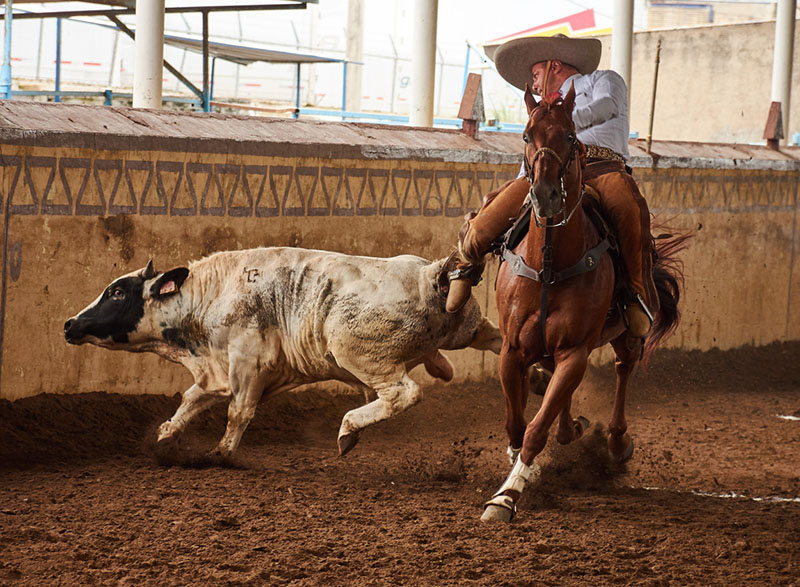 foto:Luis Elizondo Camarena - lo hecho en México