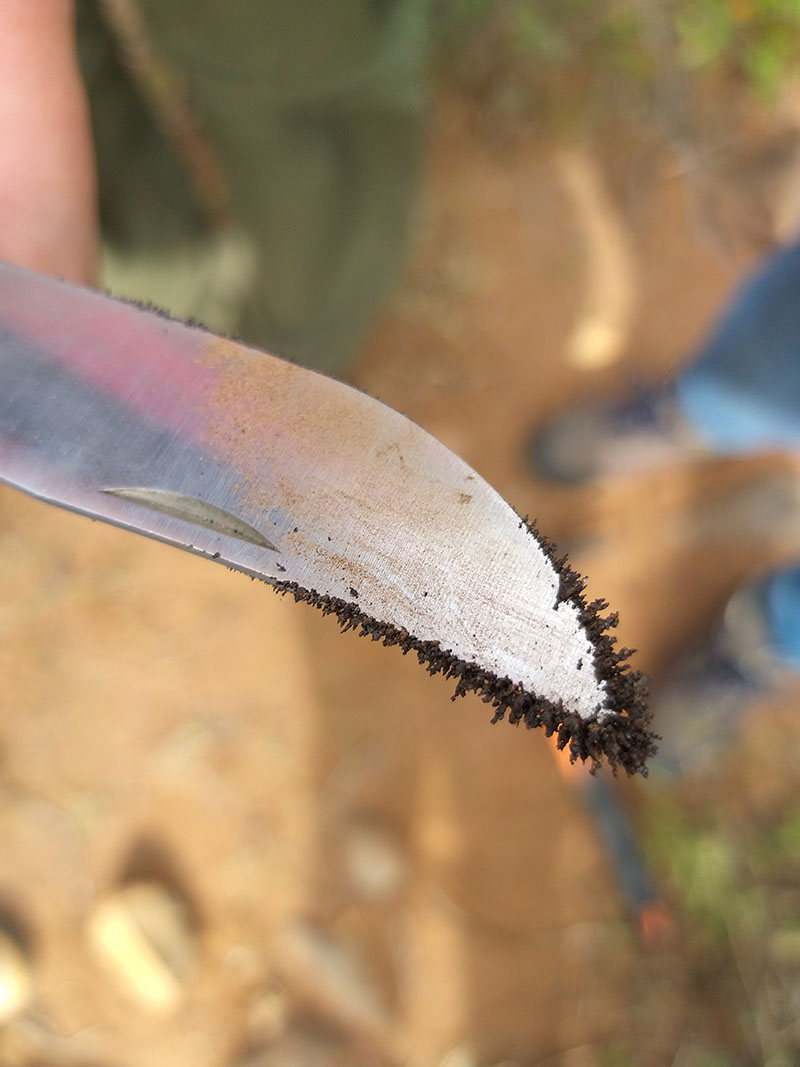 foto:Cyndy Marisol Espinosa González   - lo hecho en México