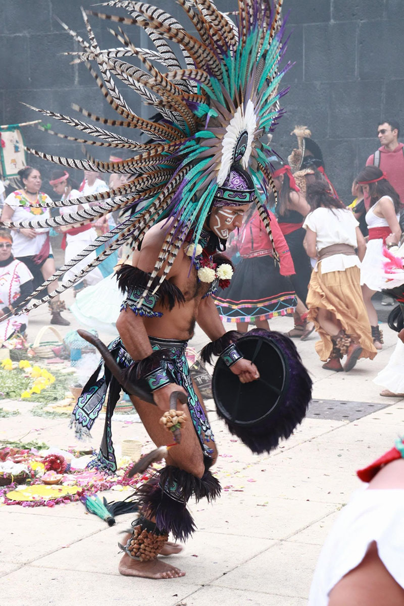 Blanca Viridiana Cárdenas Bernal  