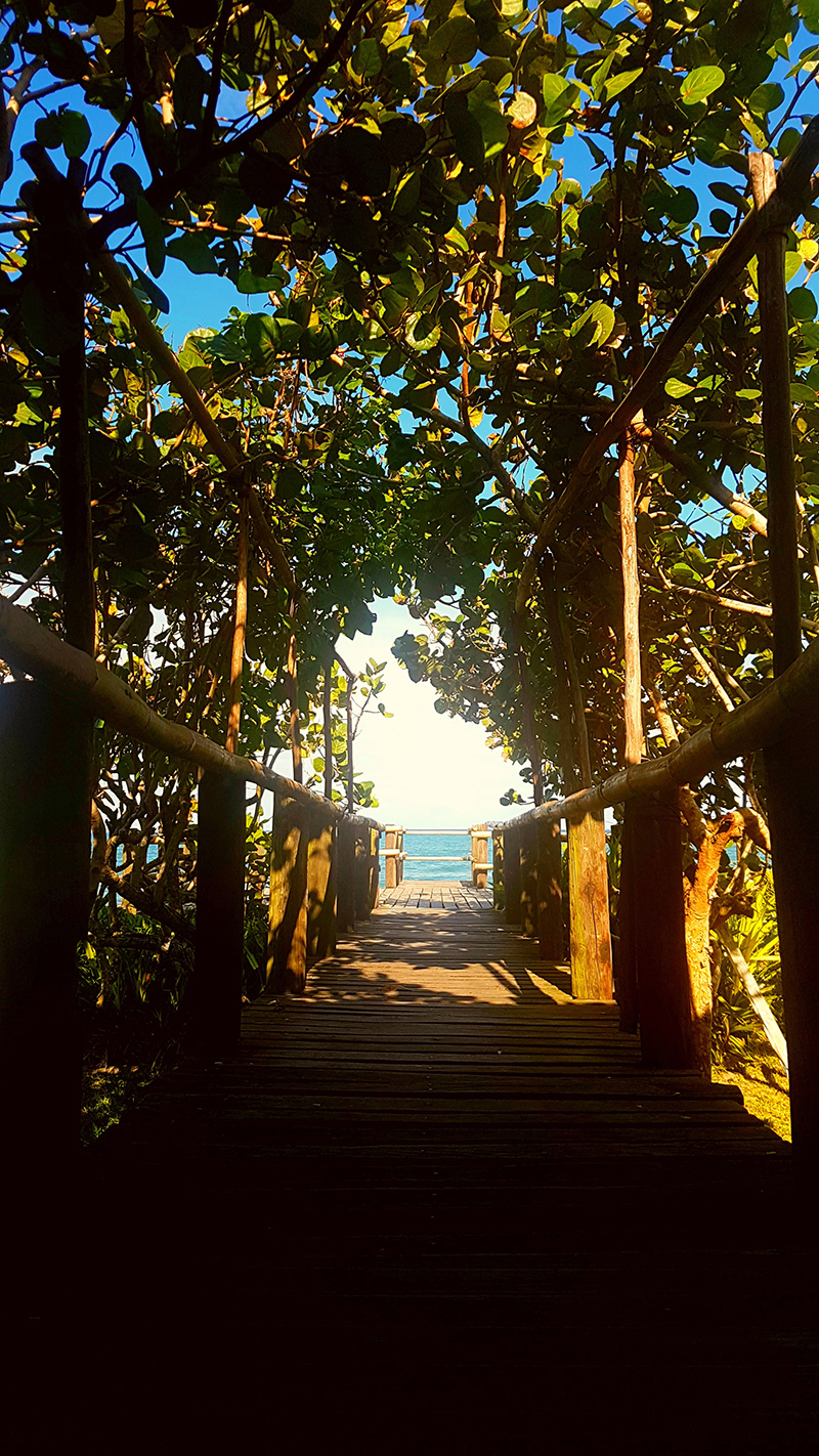 foto:Ana Paola Trujillo Torres - lo hecho en México