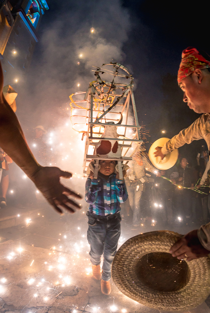 Davis Carlos Arenas Romero  