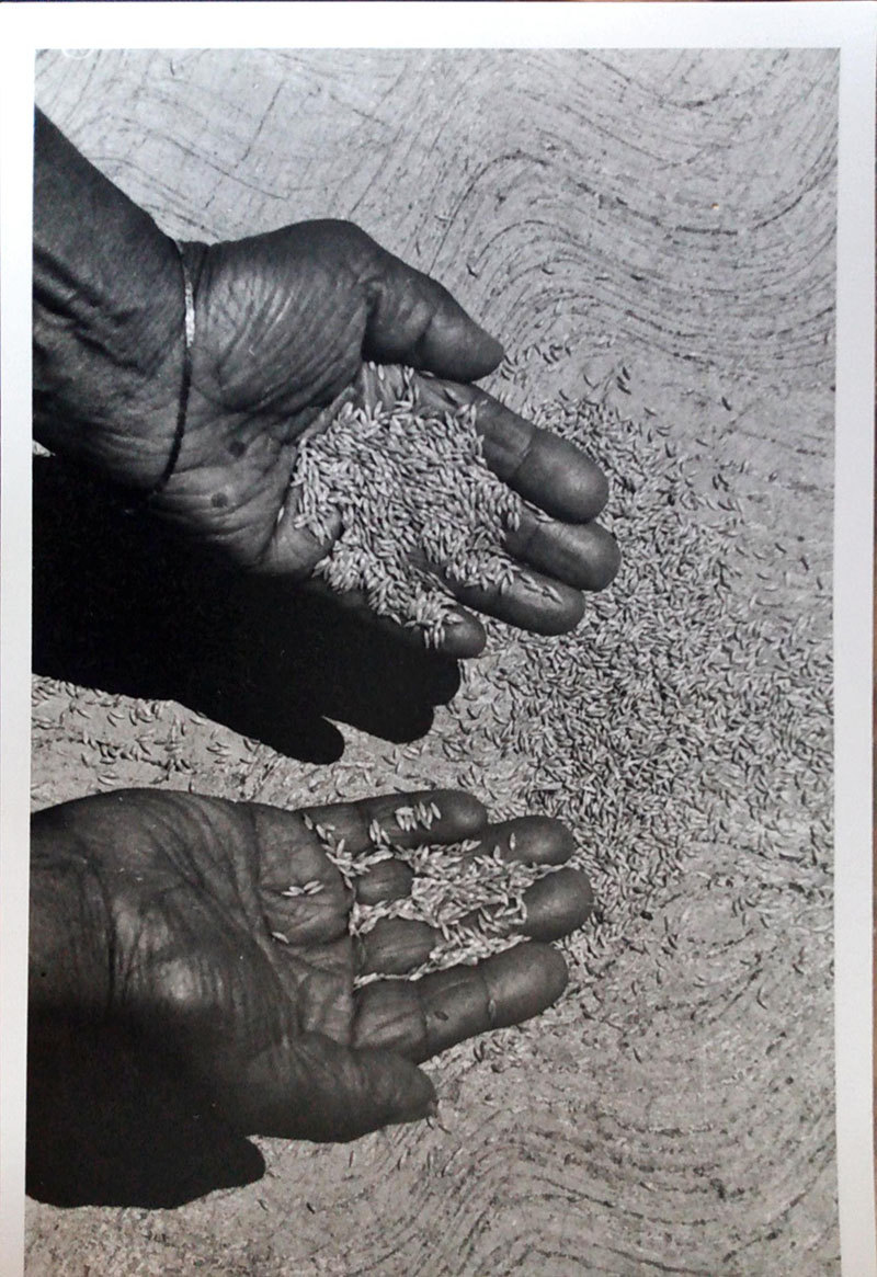 foto:Nadia del Carmen Ramos Percino - lo hecho en México