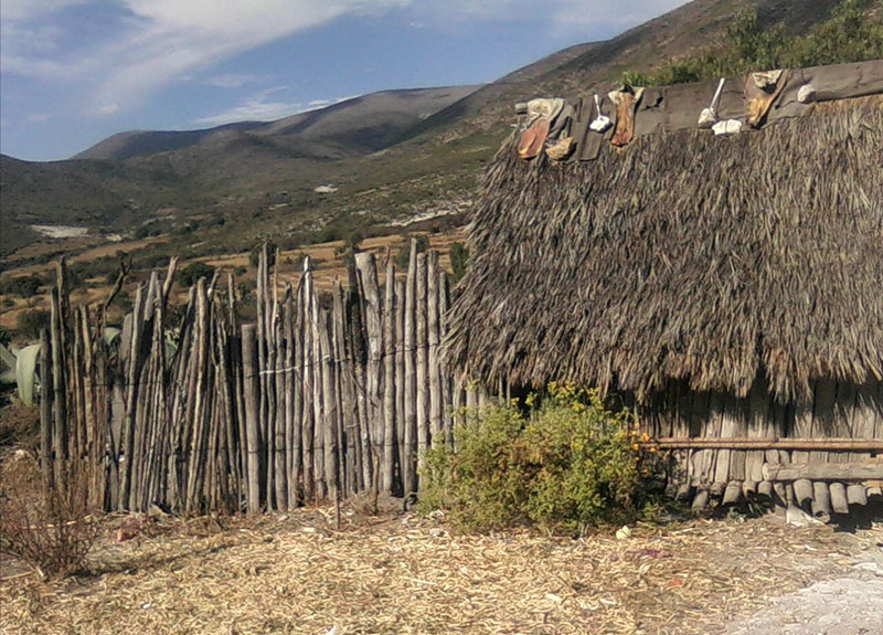foto:Erika Vazquez Morales  - lo hecho en México