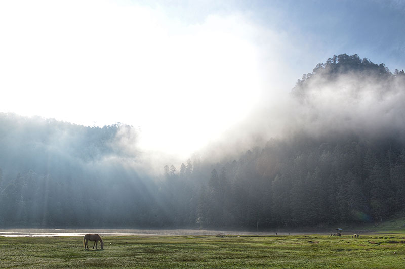 foto:Gabriela Zamany Fernandez de Castro Carpinteyro  - lo hecho en México