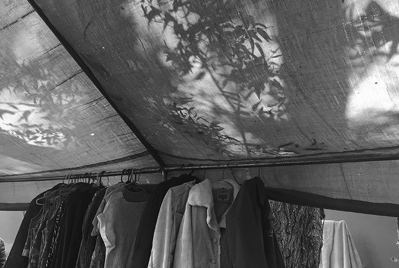 Ana Luisa Baca Lobera 