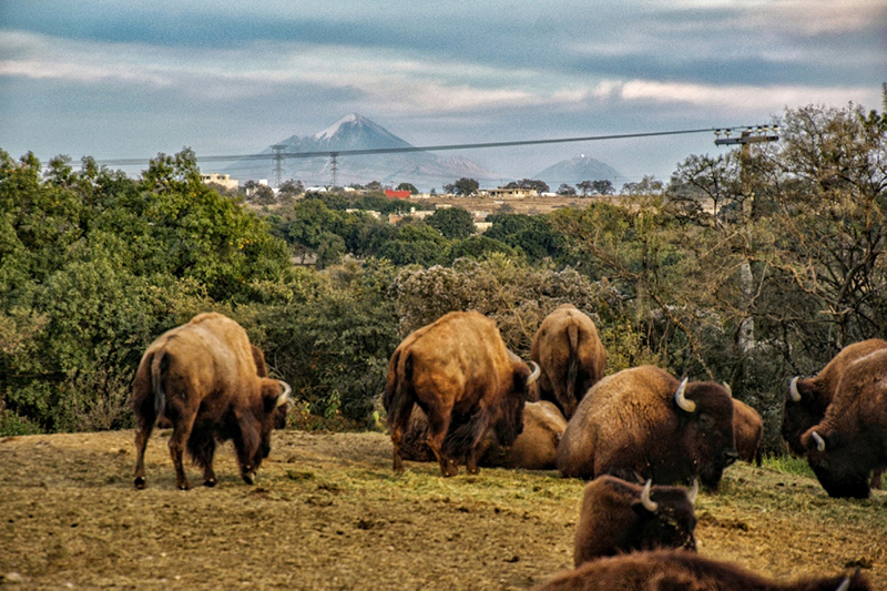 foto:Ignacio Páramo   - lo hecho en México