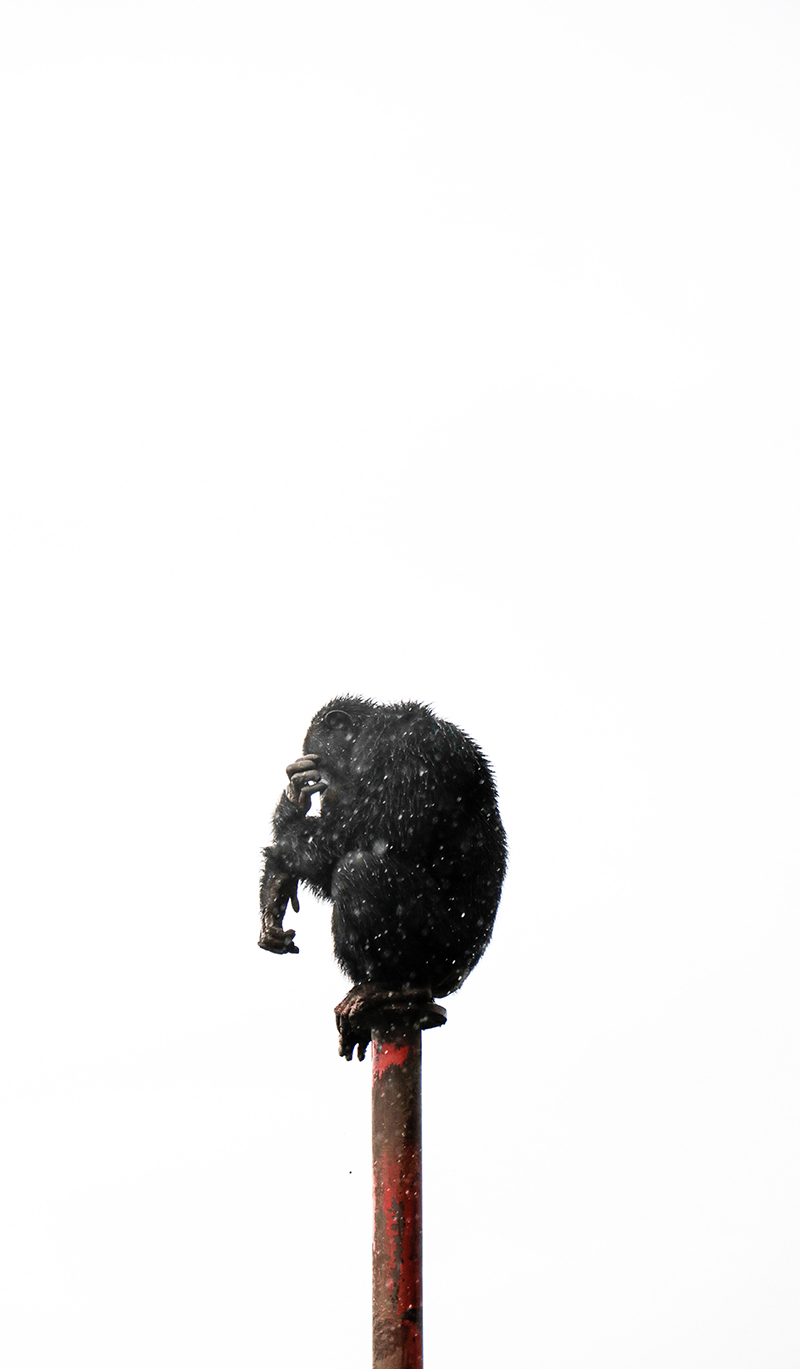 foto:Mazhavi Sánchez Carreón   - lo hecho en México