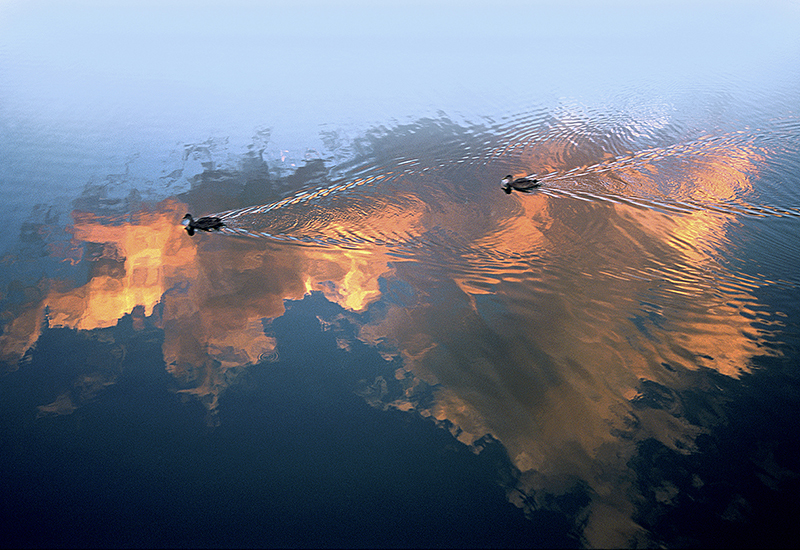 foto:Juan Carlos Varillas Contreras  - lo hecho en México